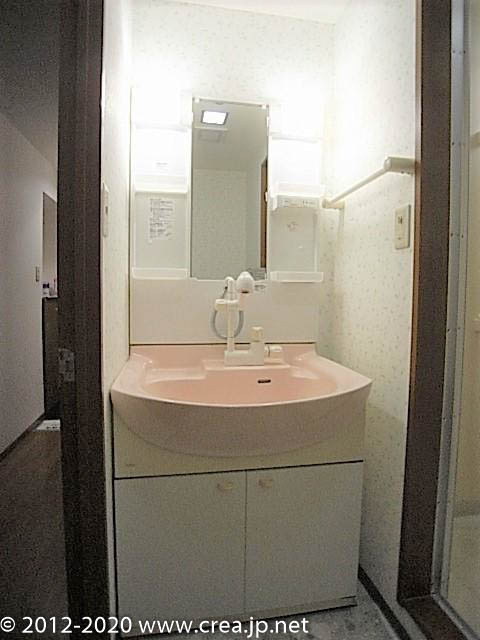 スカイビュウ11の洗面所