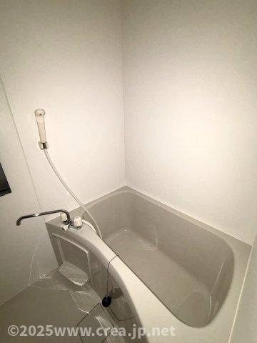 メゾンホソダAの浴室