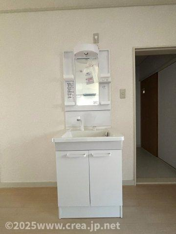 メゾンホソダAの独立洗面台