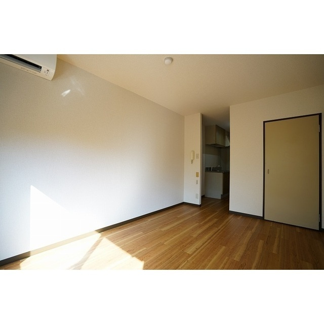 ドミール・マグノリアのその他