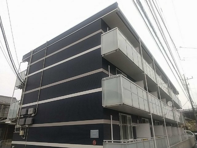 レオネクストドリーム金子