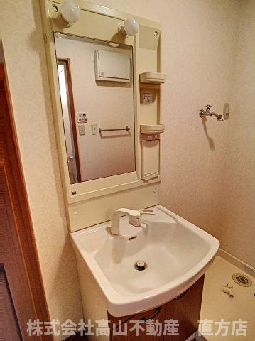 LION　Hikariの洗面所