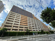 東京ナイルの画像