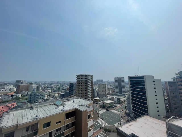 【展望】 | サンリヤン花畑1