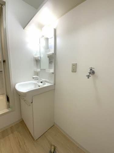 ディアスわかばの洗面所