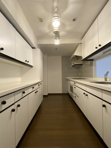 ウェルネスの森伊東・C棟のキッチン