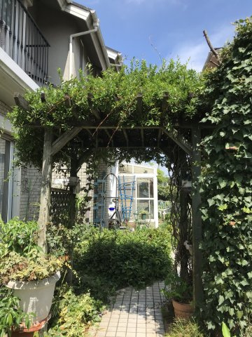 『鴻巣駅』東口18分の6LDKの中古戸建。ガーデニングを楽しめる庭付きですの庭