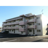 Ｓｈｅｚ　Ｍｏｉ川中子の画像