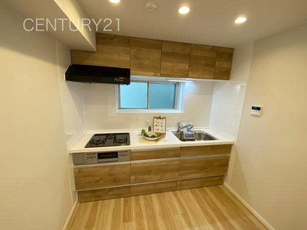 シーザーレジデンス高崎のキッチン|シンクも大きく洗い物もしやすい浄水器付。シャワーヘッドは引き出し可能、シンクの隅々まで洗い流せます。