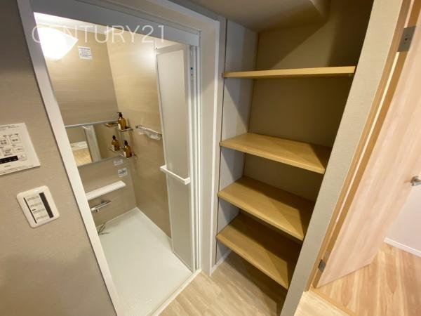 シーザーレジデンス高崎の独立洗面台|毎日の着替え・タオルなどを仕舞える便利な棚付きです。