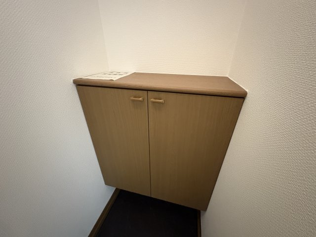 ヴェルドミールの収納