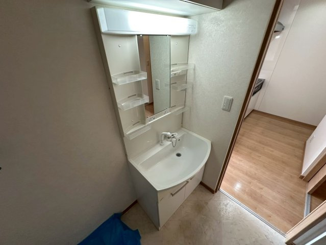 カーサヴィオーラの洗面所