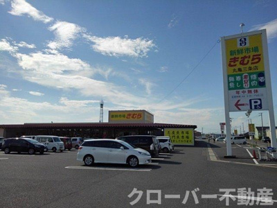 【周辺】 | ヴァーナル・エース | 新鮮市場きむら丸亀三条店まで450m