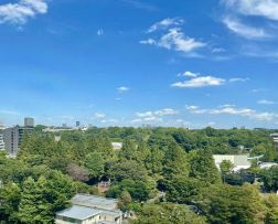 台東区池之端２丁目の賃貸マンション