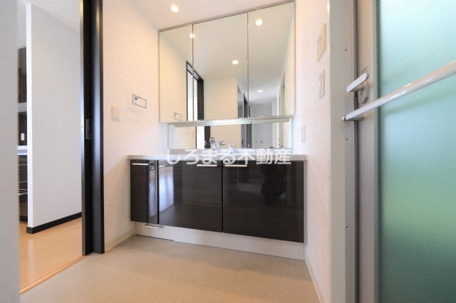 エルザグレース堀江タワーの洗面所