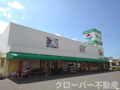 【周辺】 | マンダリーナ | ショッピングストア今川仁尾浜店まで600m