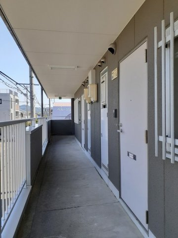 ニューマウンテンのその他