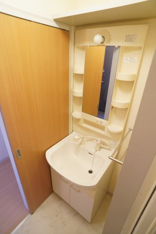 パークサイドSの洗面所