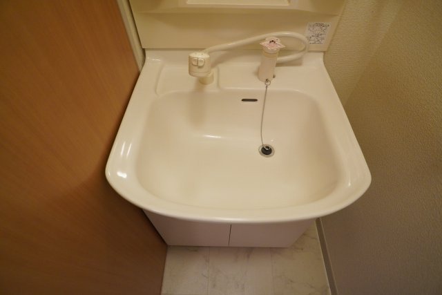 パークサイドSの洗面所