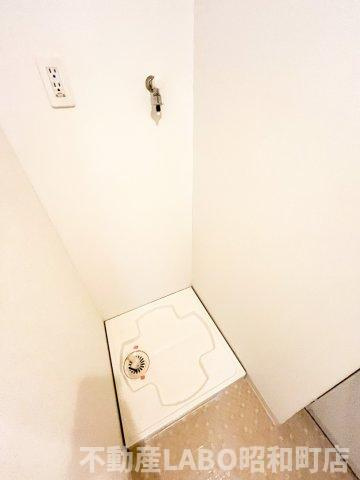 IL MALEのその他