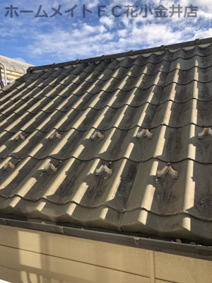 【展望】 | メゾンブランシェ