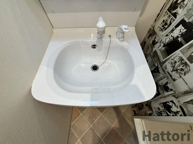 ウインズコート新大阪Ⅱの洗面所