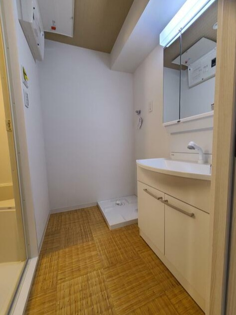 エマーレ南浦和（旧ヒルズ神明の木）の洗面所|広い洗面スペース