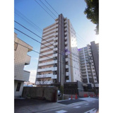 オルソパールデンマの画像