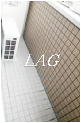 【バルコニー】 | アイリス川崎 | バルコニーです。