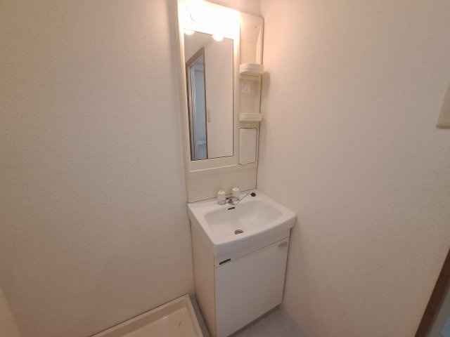 リバービレッジ上甲子園の独立洗面台