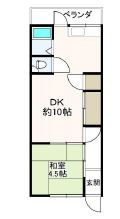 福井文化
