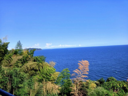 フェアモントビュー伊豆　の展望