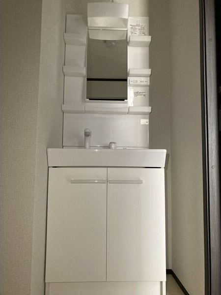 Arrotsk(アルトスク)B棟の独立洗面台