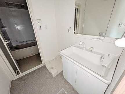 エメラルドマンション高揚矢口の独立洗面台