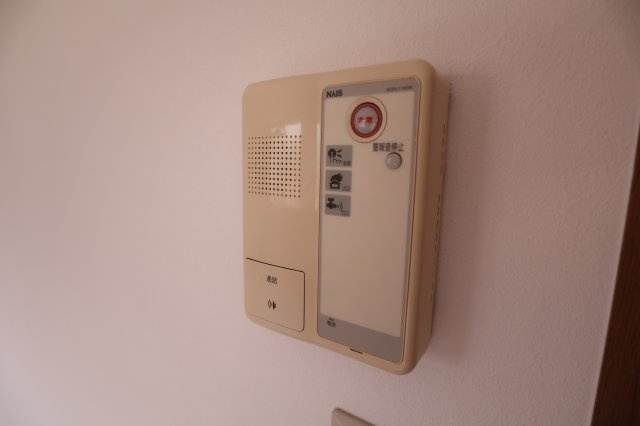 ヴェルドミールのセキュリティ