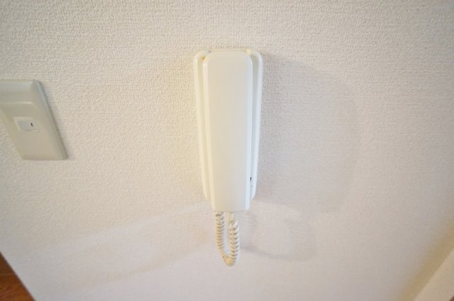 アーバンリオグランデのセキュリティ