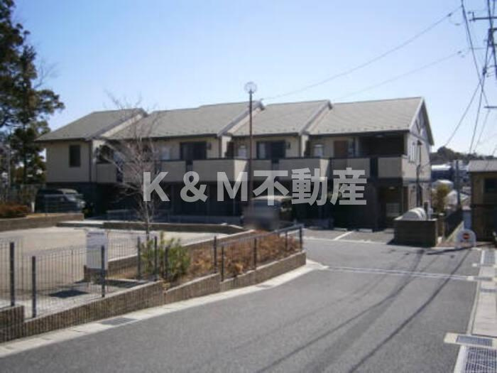 リシアンサス・ガーデンC