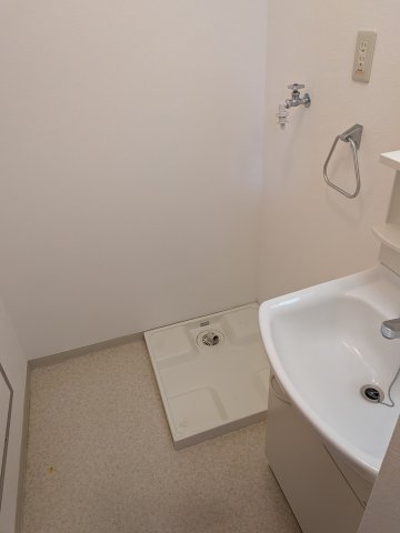 ルネッサンスみやのの洗面所