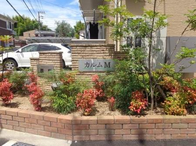 【その他】 | カルムM