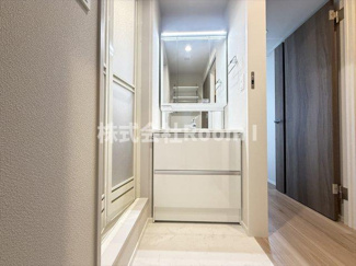 【洗面所】 | 【ペット共生】ＨＥＢＥＬ　ＭＡＩＳＯＮ　中野町・旭化成ヘーベルメゾンHEBEL HAUS | 広い洗面スペース