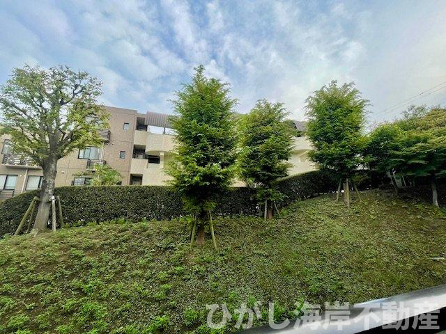 ラミアール藤沢モアクレストの展望|バルコニーからの眺望