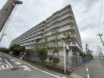 ドルミ春日部の外観|外観です。東武伊勢崎線「春日部」駅徒歩19分。