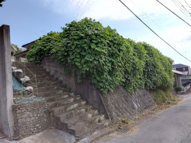 売土地　三島市谷田