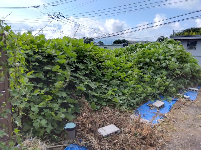 売土地　三島市谷田の外観|スーパー・ドラッグストア・コンビニまで車で10分圏内です。生活利便性の高い土地になっています。