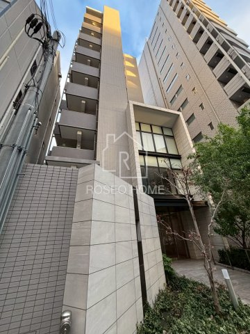 ハナミズキ福島