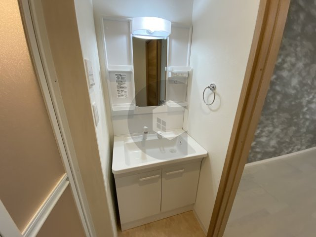 KTIレジデンス河内花園の独立洗面台