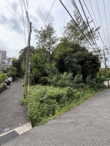 西宮市甲陽園目神山町土地の外観|北側からの写真です