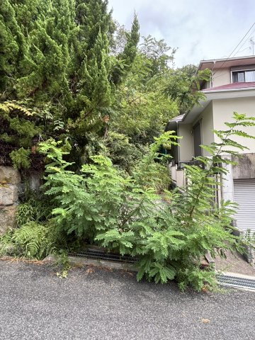 西宮市甲陽園目神山町土地の外観|南西側からの写真です