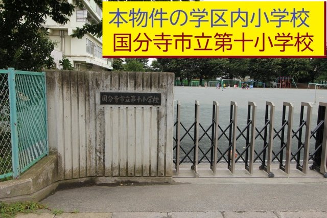 【Livele Garden.S】】国分寺新町|本物件の学区内小学校は、「市立第十小学校」です