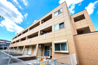 コムデソレイユの画像